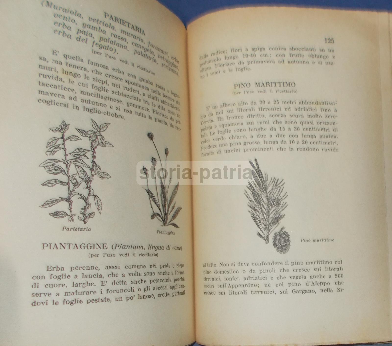 Erbe, Erboristeria, Botanica, Malattie, Medicina, Ricettario, Veterinaria, Massaggio immagine 12