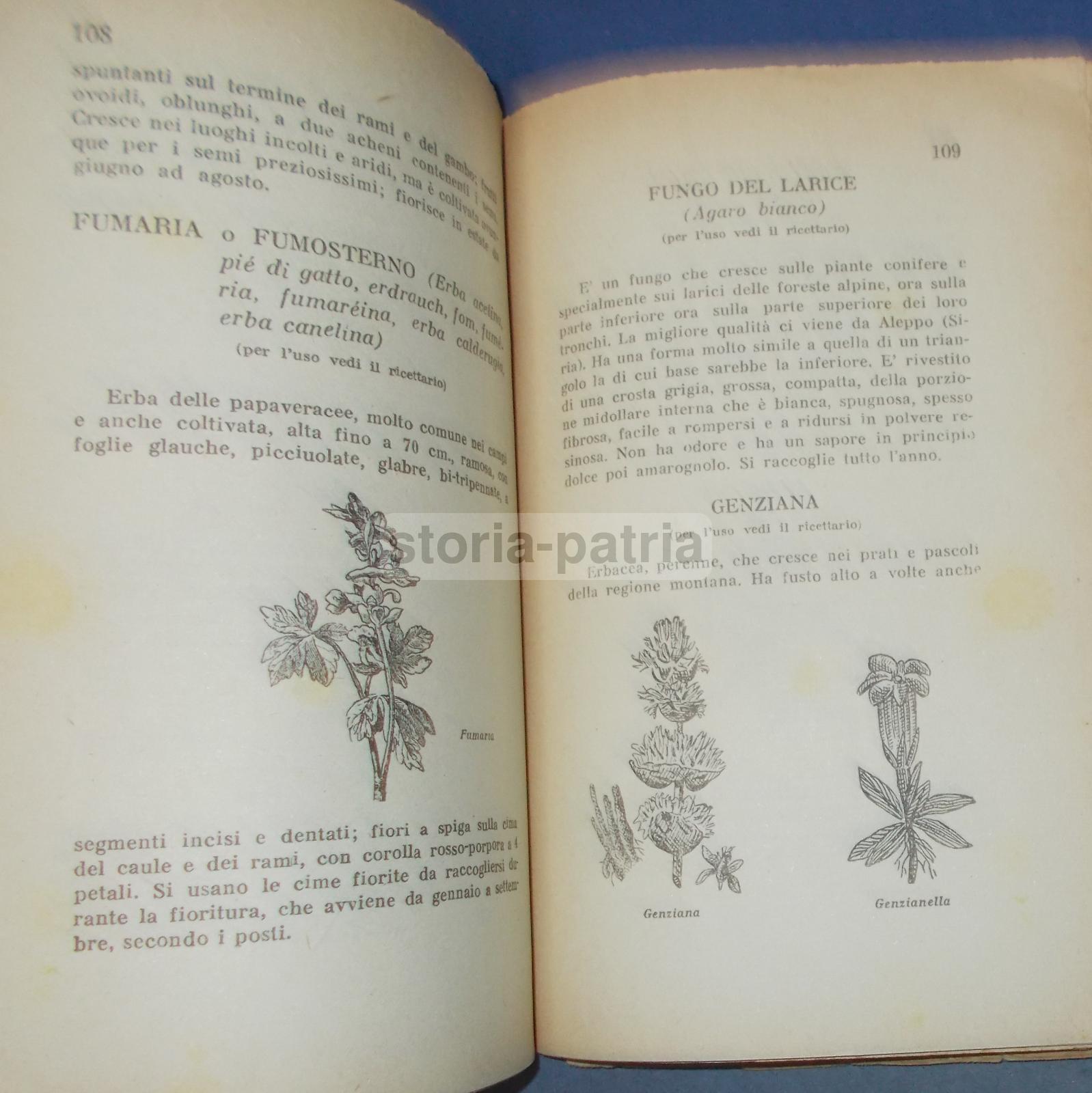 Erbe, Erboristeria, Botanica, Malattie, Medicina, Ricettario, Veterinaria, Massaggio immagine 13