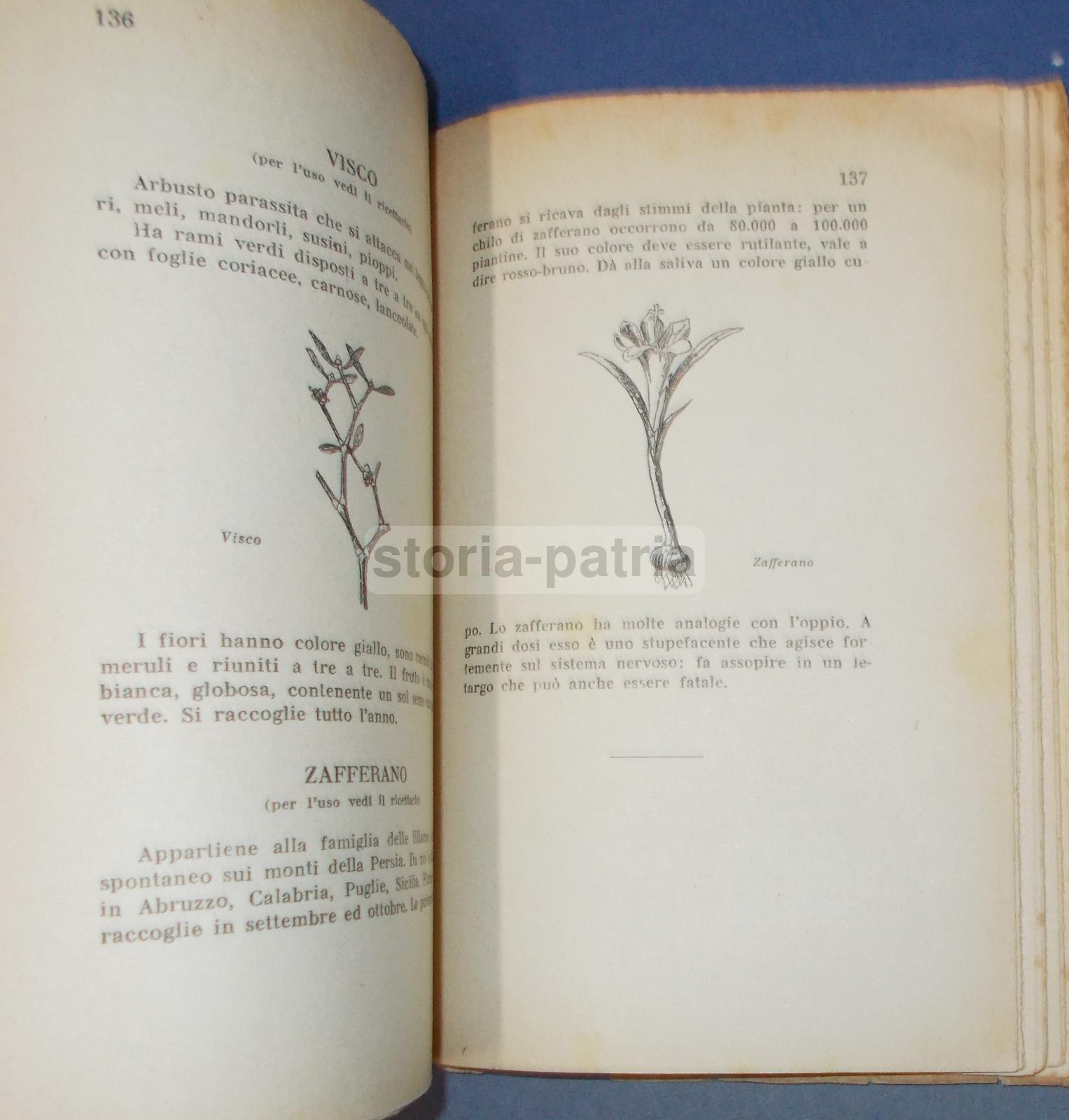 Erbe, Erboristeria, Botanica, Malattie, Medicina, Ricettario, Veterinaria, Massaggio immagine 17