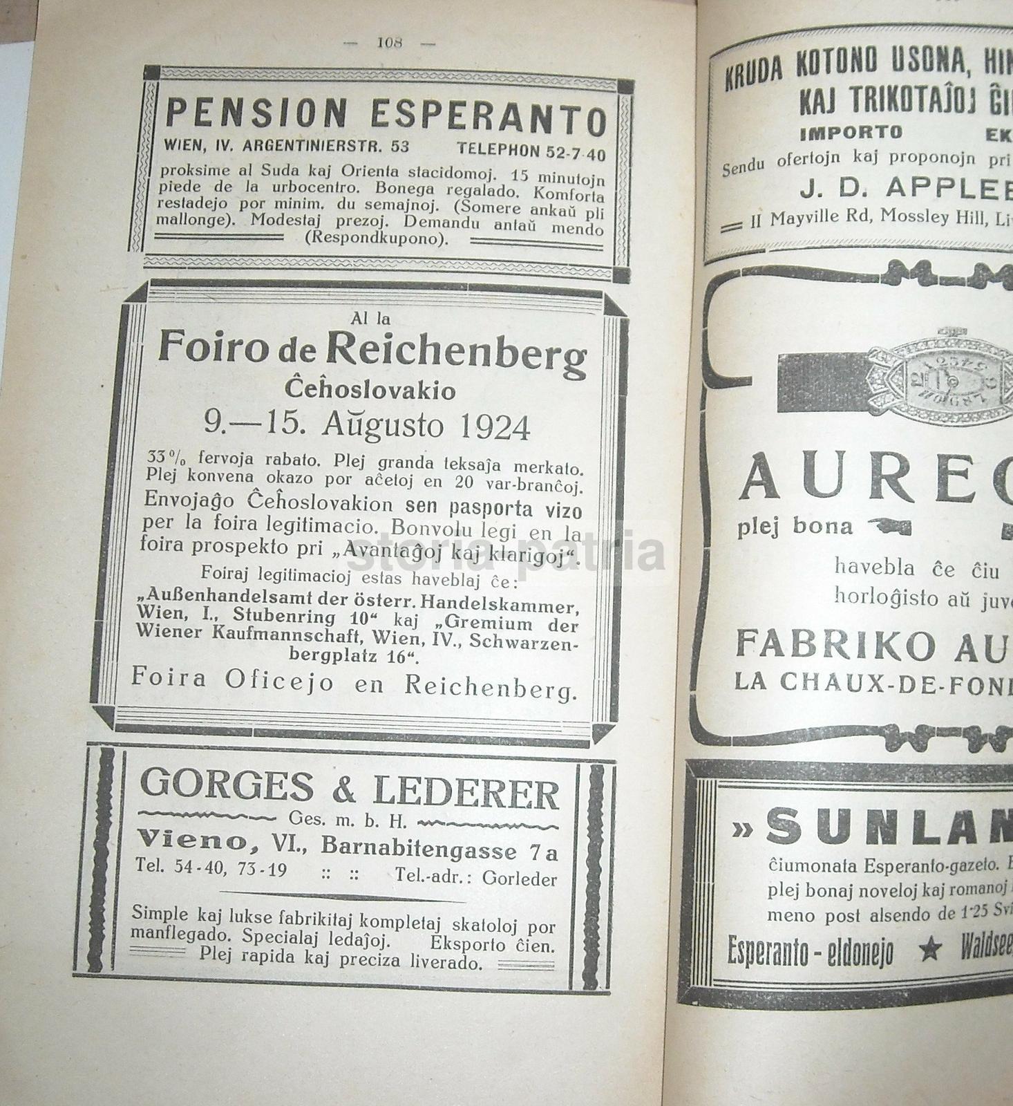 Esperanto, Congresso Di Vienna, 1924, Antica Edizione Illustrata, Guida E Programma immagine 8