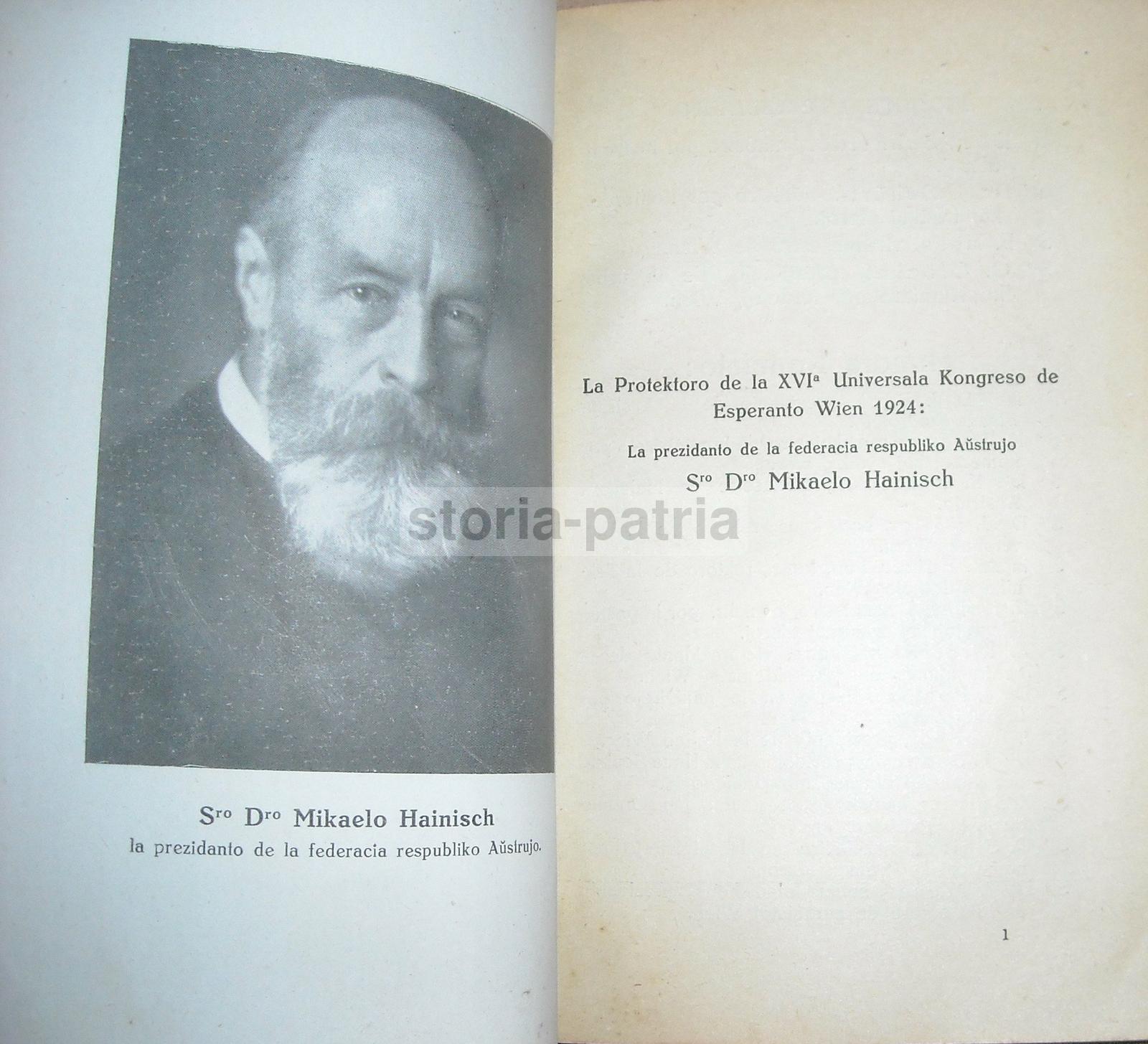 Esperanto, Congresso Di Vienna, 1924, Antica Edizione Illustrata, Guida E Programma immagine 16