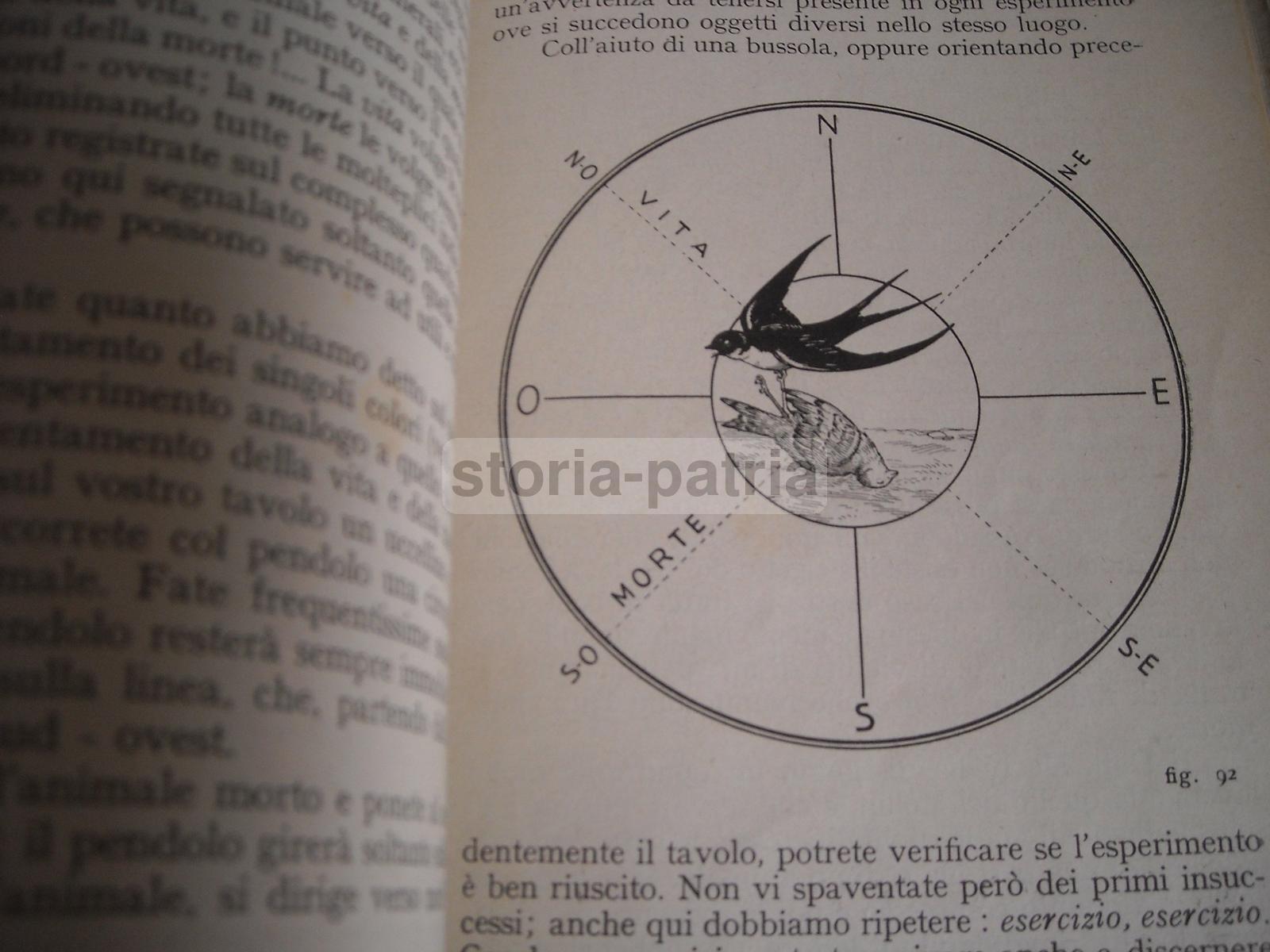 Esperimenti Di Radiestesia, Utilizzo Del Pendolo, Acqua, Petrolio, Tesori Nascosti immagine 9