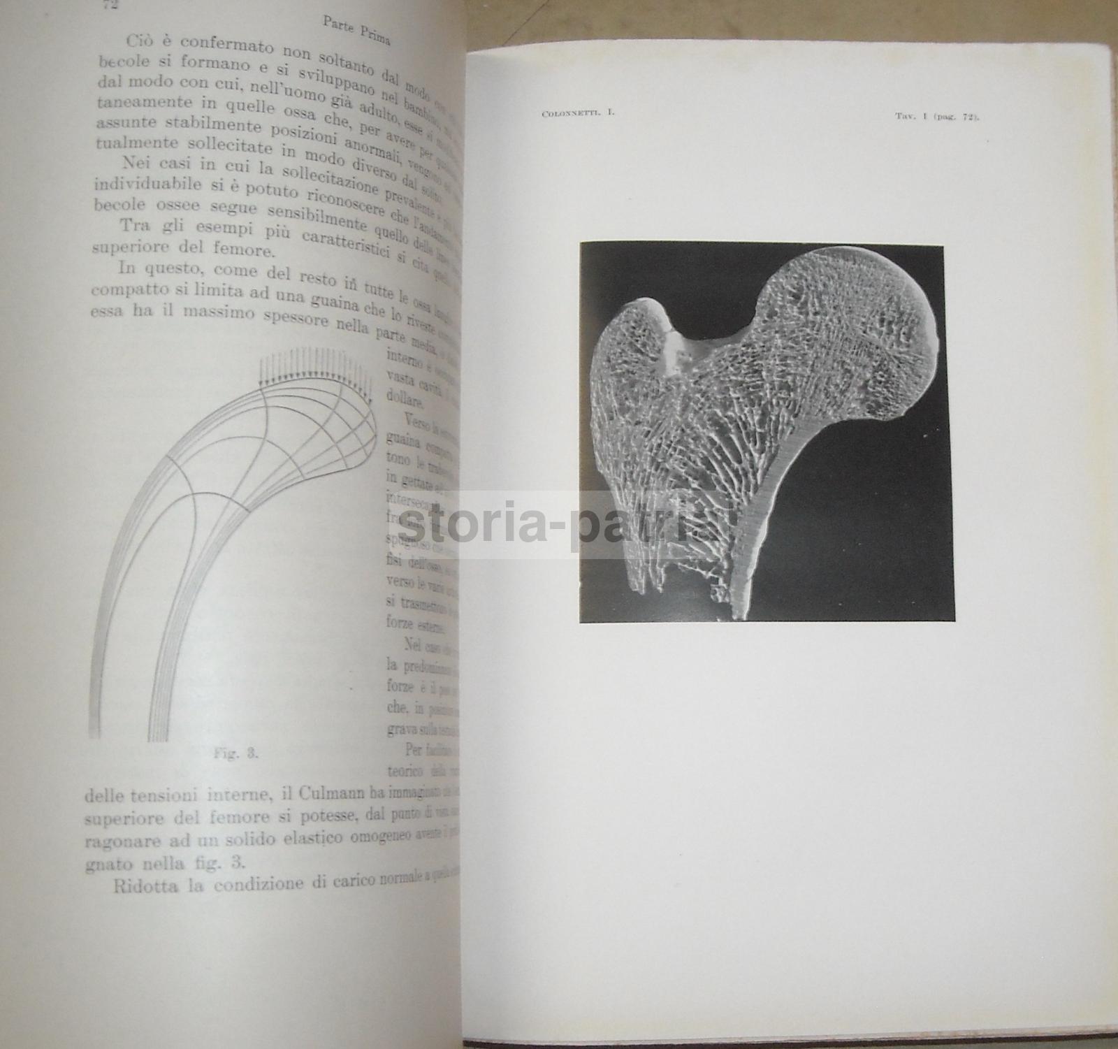 Ingegneria, Tecnica Delle Costruzioni, Statica, Tensioni, Torsioni, Elasticita, Archi immagine 4