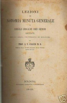 Medicina, Anatomia, Istologia, Organi Dei Sensi, Ciaccio immagine 1