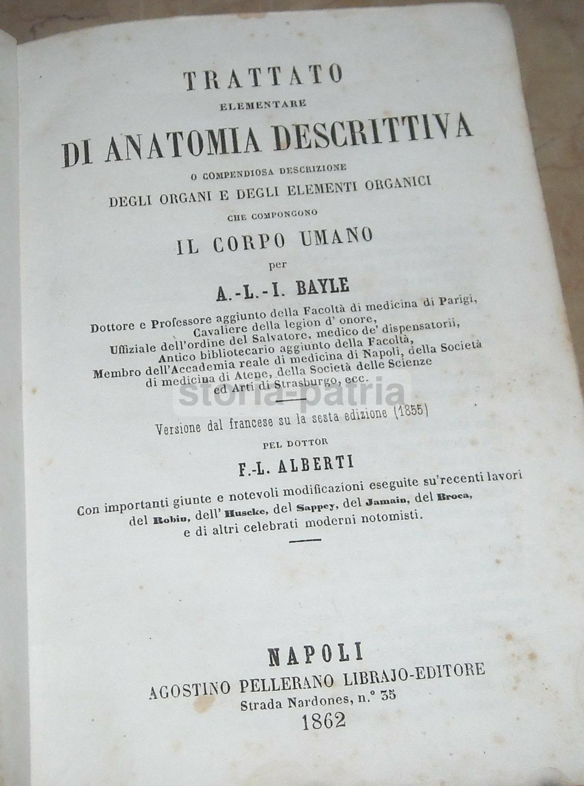 Medicina, Anatomia, Muscoli, Nervi, Angiologia, Urologia, Ginecologia, Oculistica, Bocca immagine 1