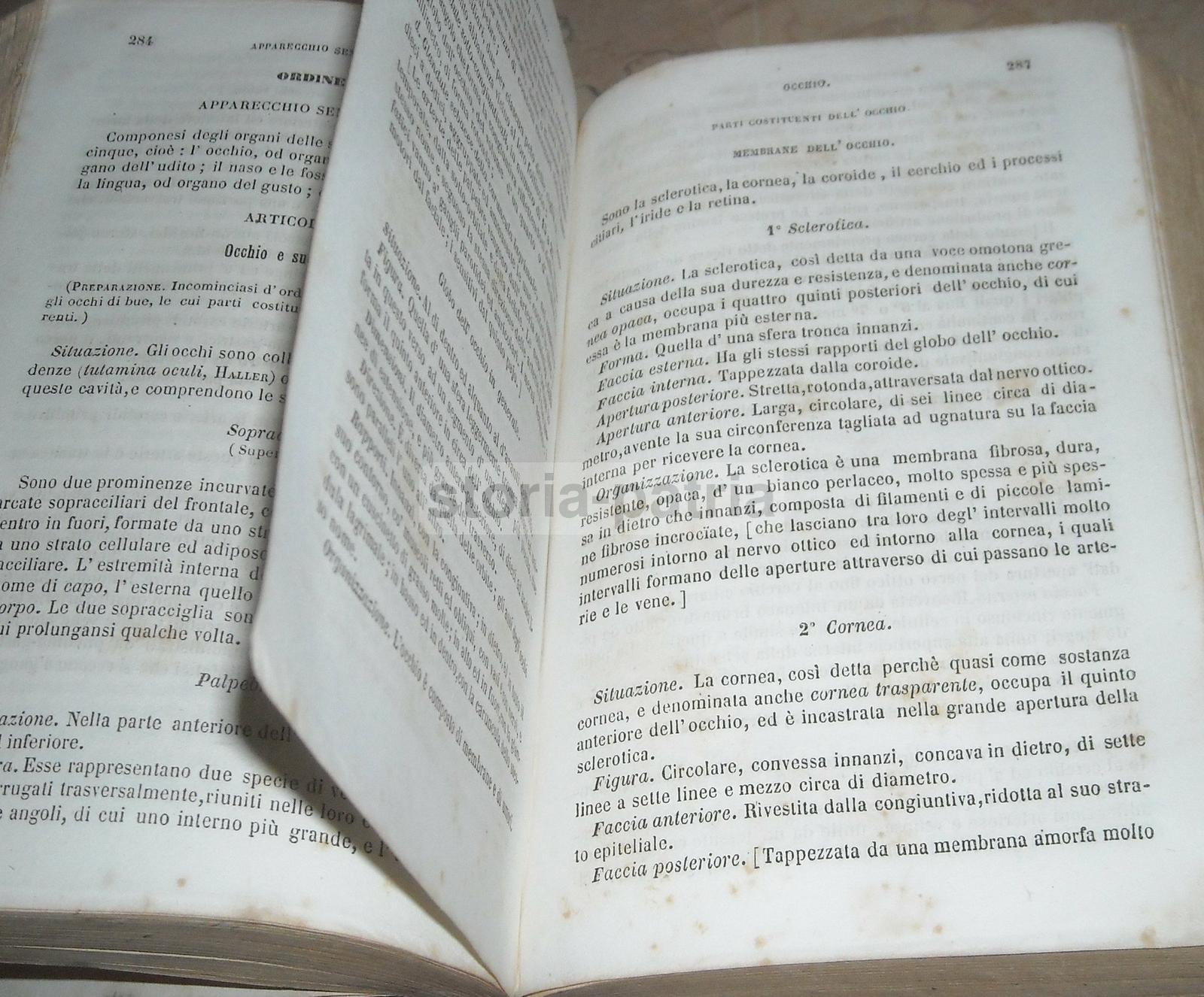 Medicina, Anatomia, Muscoli, Nervi, Angiologia, Urologia, Ginecologia, Oculistica, Bocca immagine 2