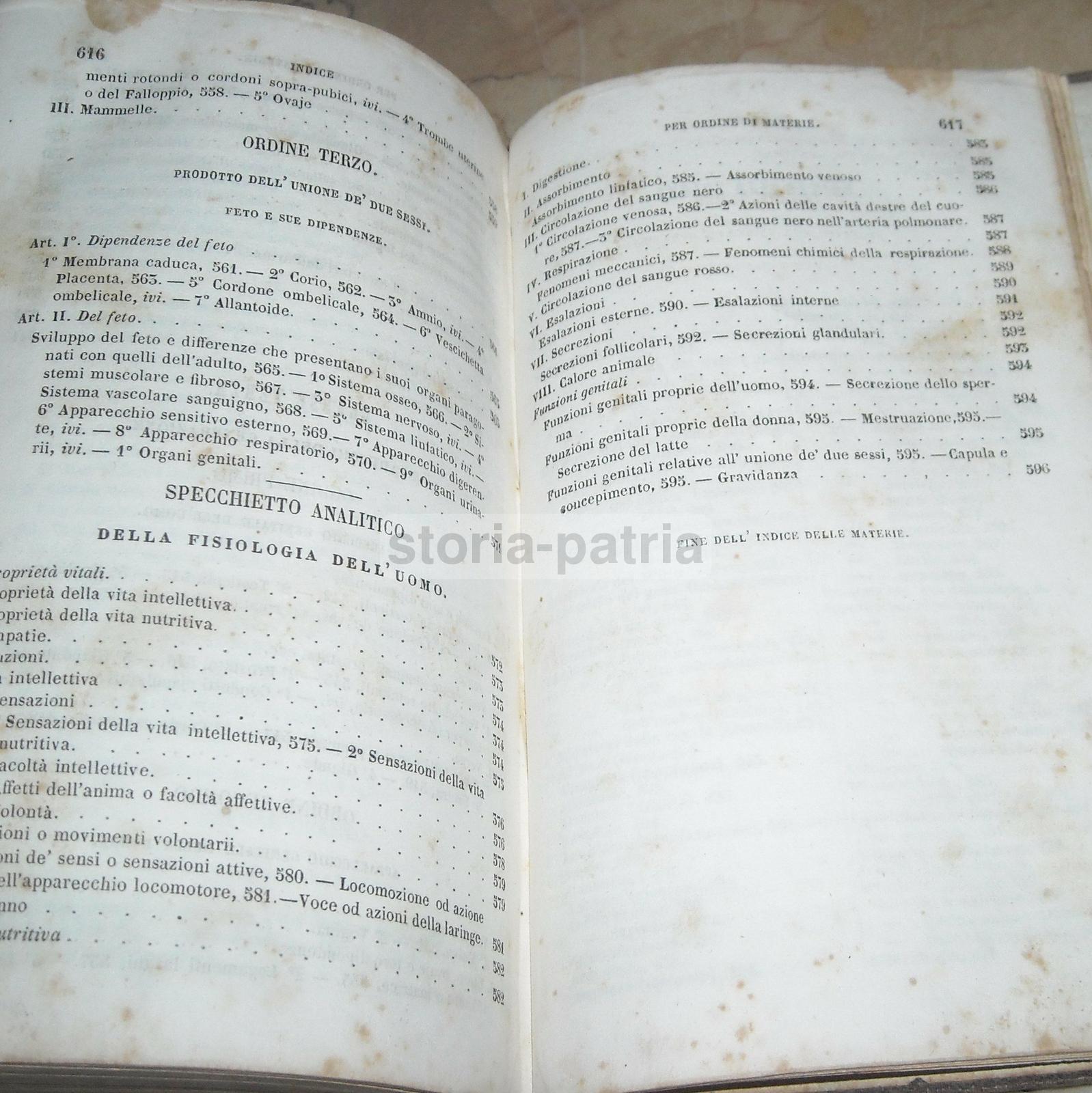 Medicina, Anatomia, Muscoli, Nervi, Angiologia, Urologia, Ginecologia, Oculistica, Bocca immagine 4