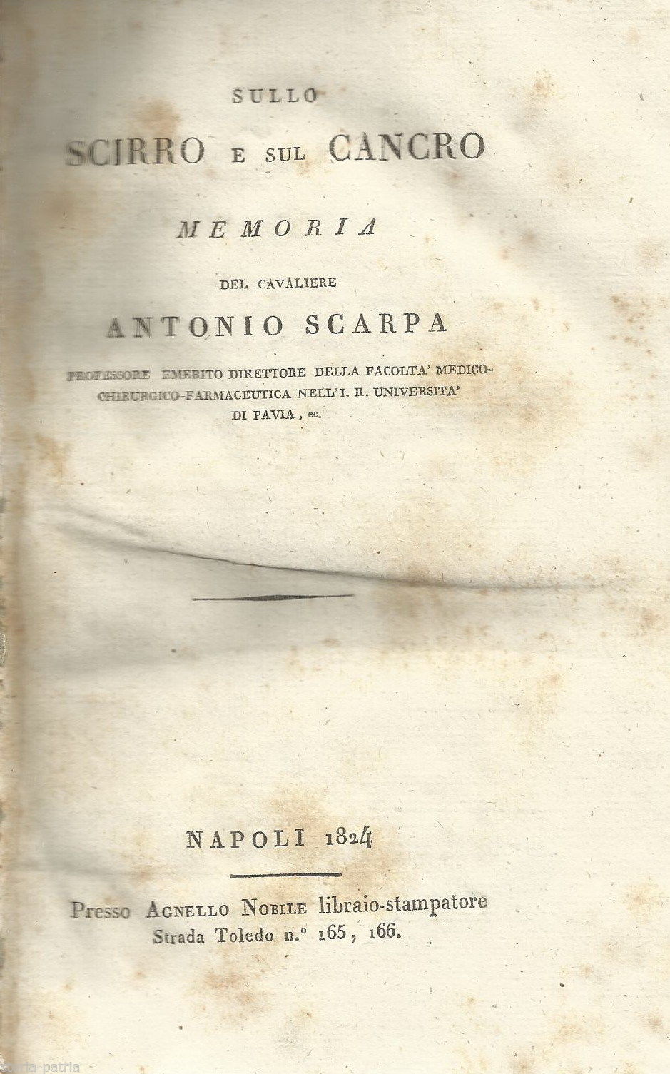 Medicina, Chirurgia, Oncologia, Senologia, Scirro, Cancro, Rara Edizione, Scarpa, 1824 immagine 1
