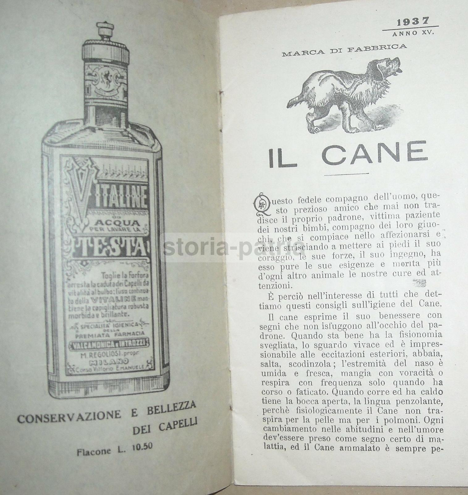 Medicina, Farmacia, Farmaceutica, Veterinaria, Cani, Cavalli, Valcamonica Regoliosi immagine 2