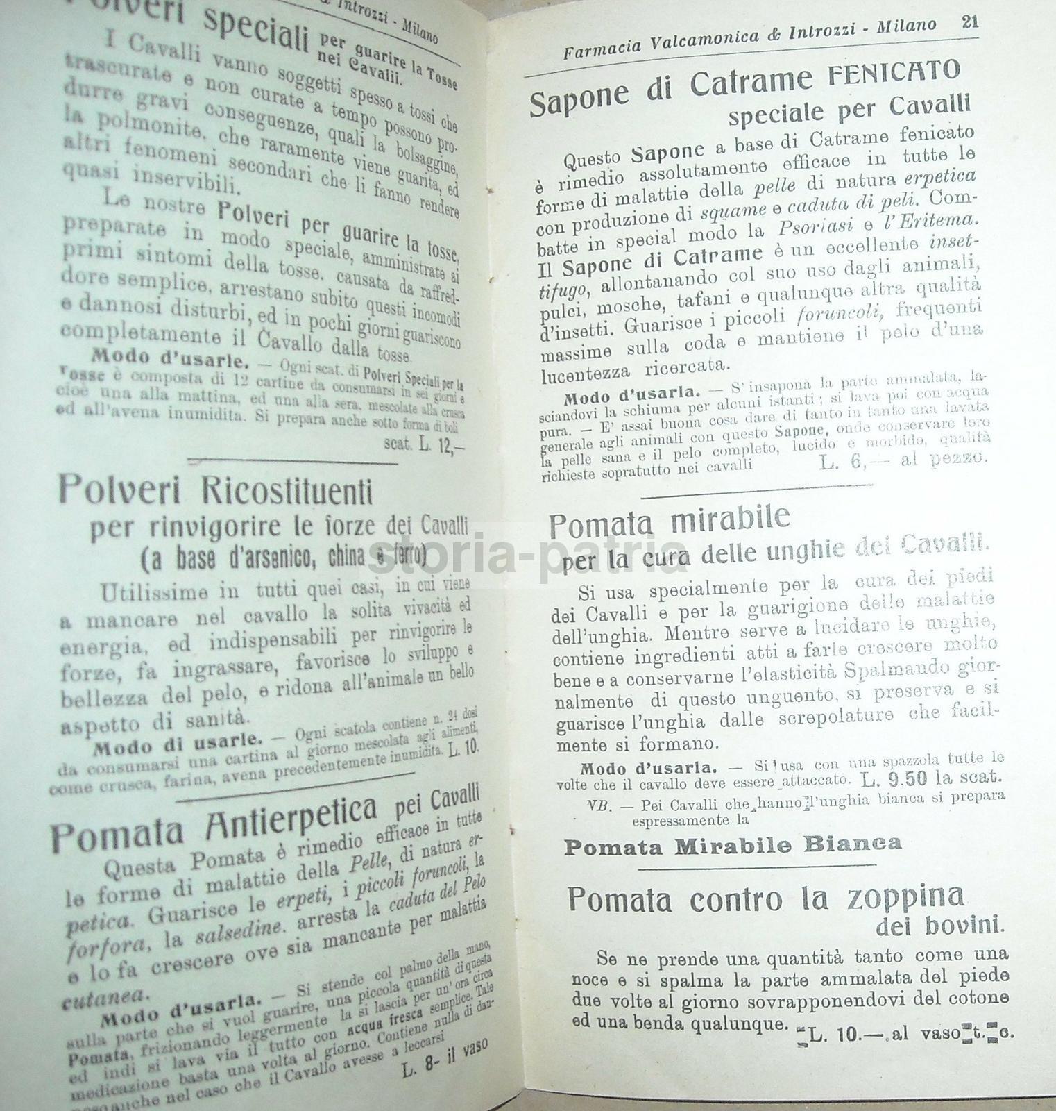 Medicina, Farmacia, Farmaceutica, Veterinaria, Cani, Cavalli, Valcamonica Regoliosi immagine 3