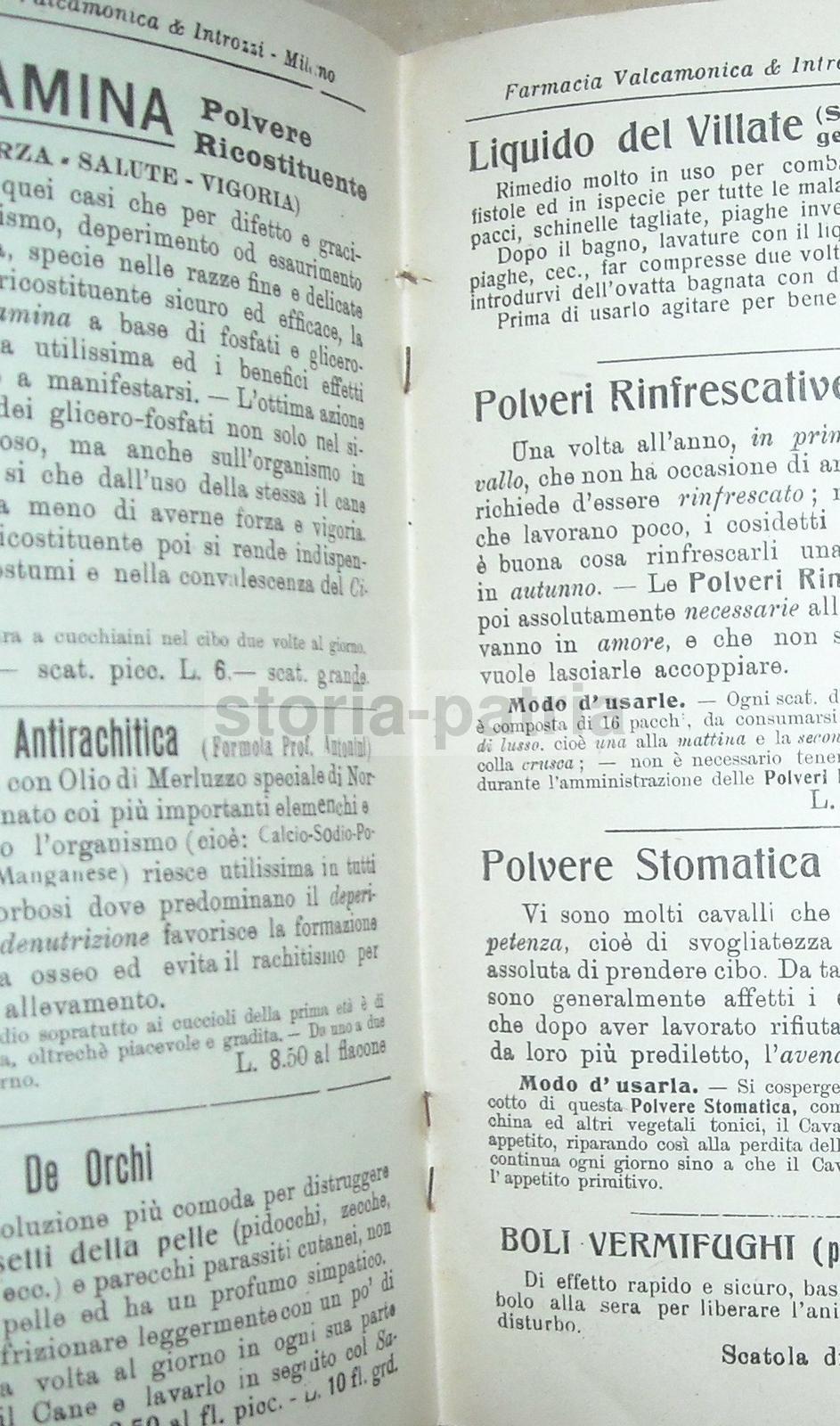Medicina, Farmacia, Farmaceutica, Veterinaria, Cani, Cavalli, Valcamonica Regoliosi immagine 4