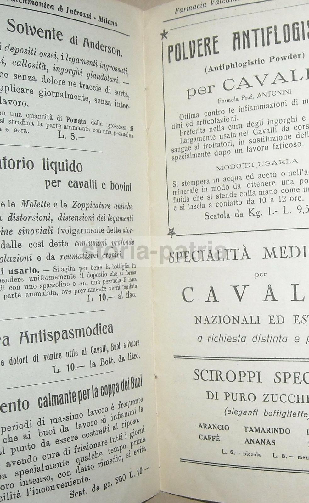 Medicina, Farmacia, Farmaceutica, Veterinaria, Cani, Cavalli, Valcamonica Regoliosi immagine 5