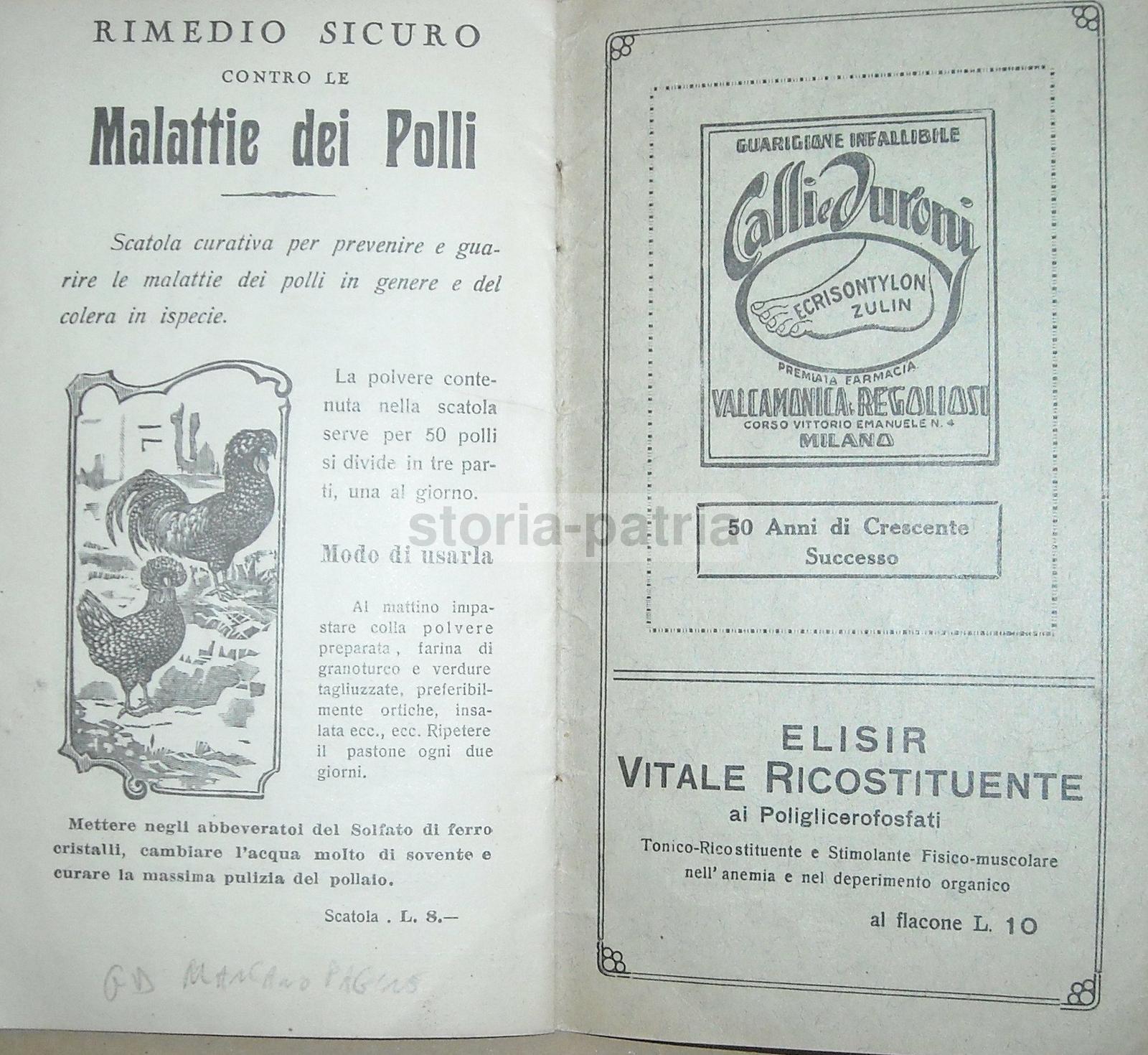 Medicina, Farmacia, Farmaceutica, Veterinaria, Cani, Cavalli, Valcamonica Regoliosi immagine 6