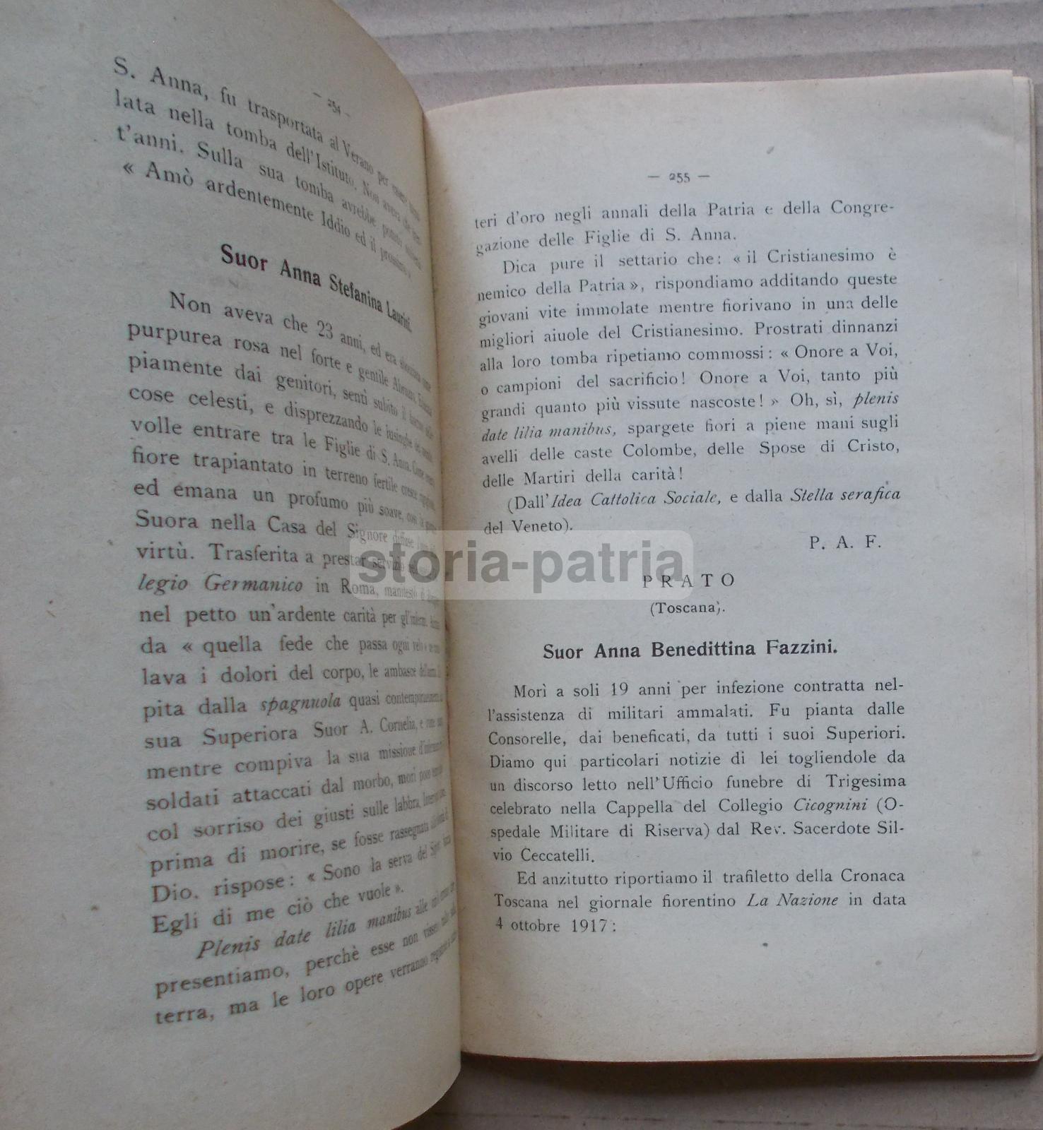 Militaria, Grande Guerra, Storia Locale, Figlie Di S Anna, Gattorno, Piacenza, Colera immagine 12