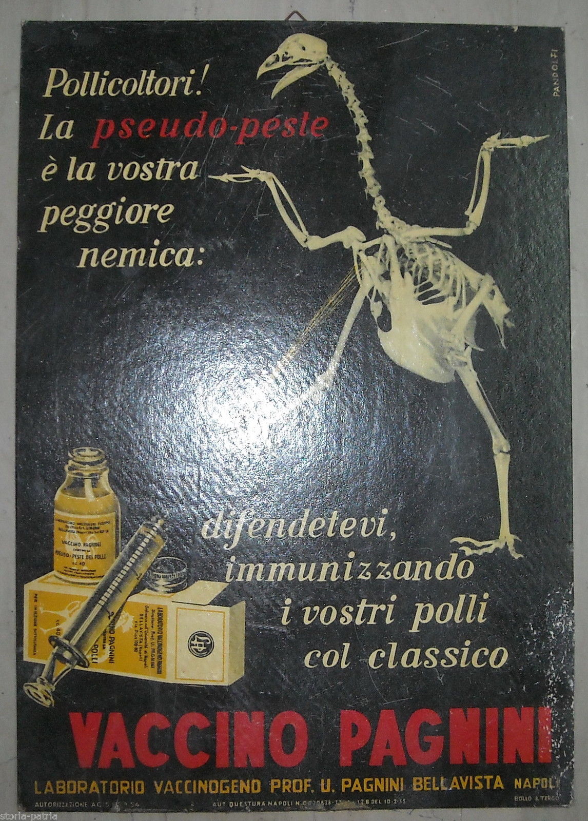Napoli, Bellavista, Pagnini, Veterinaria, Vecchio Cartello Pubblicitario, d'Epoca immagine 1