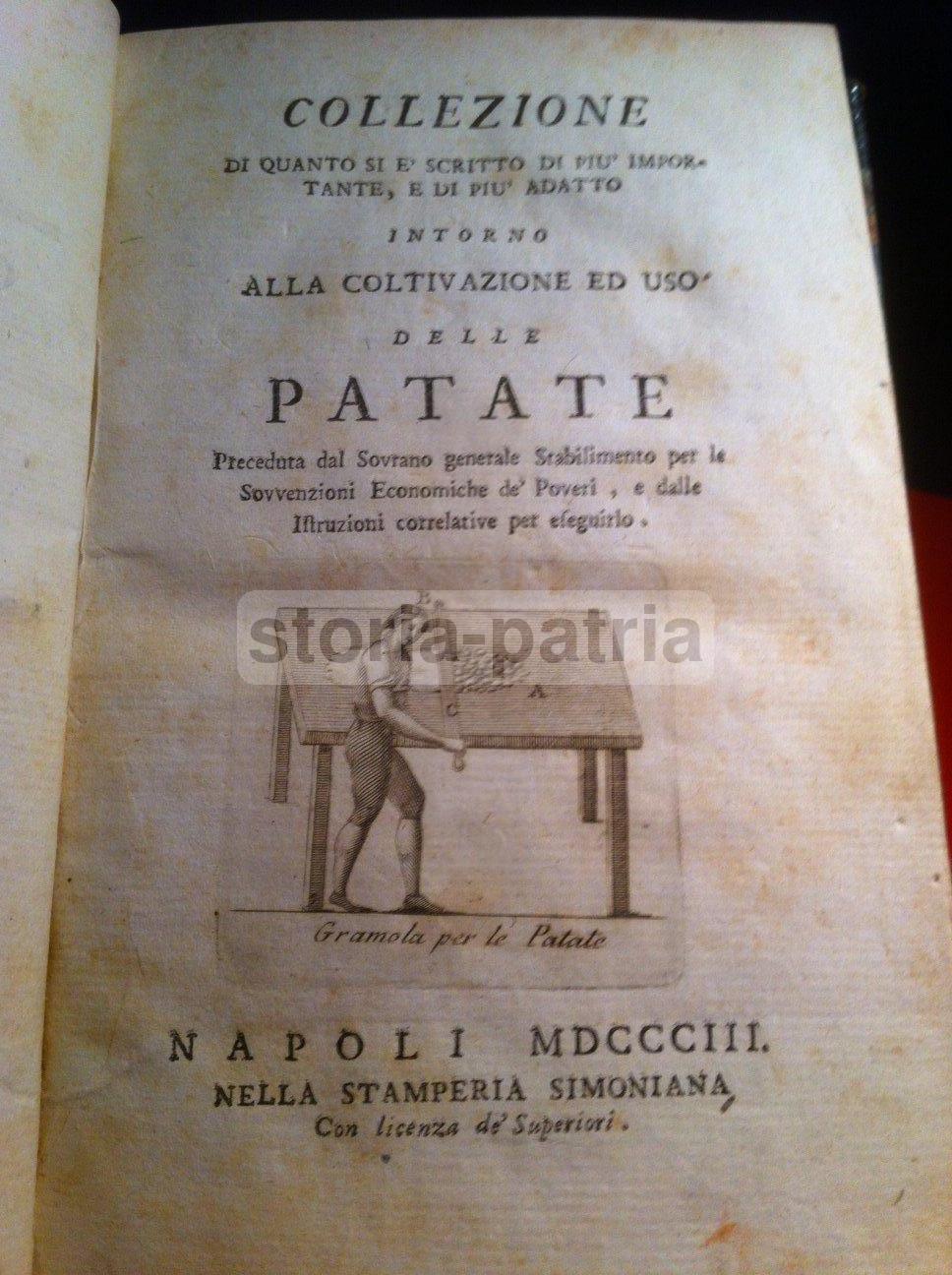 Napoli, Puglia, Abruzzo, Basilicata, Molise, Cucina, Agraria, Patate, Ricettario, Rarita immagine 1