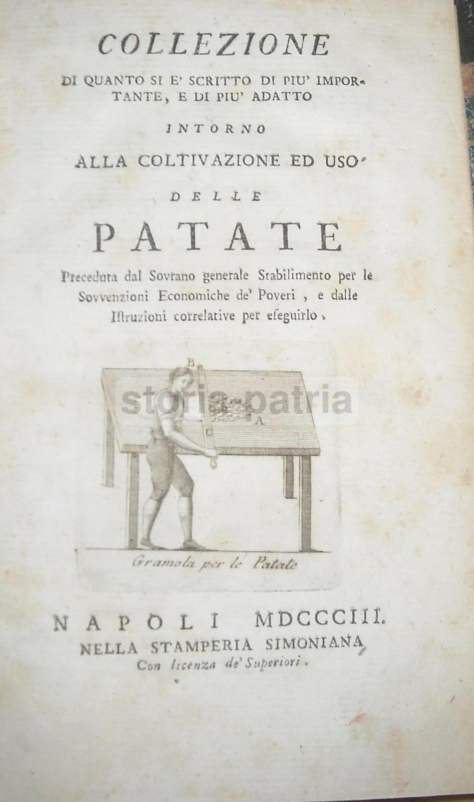 Napoli, Puglia, Abruzzo, Basilicata, Molise, Cucina, Agraria, Patate, Ricettario, Rarita immagine 9