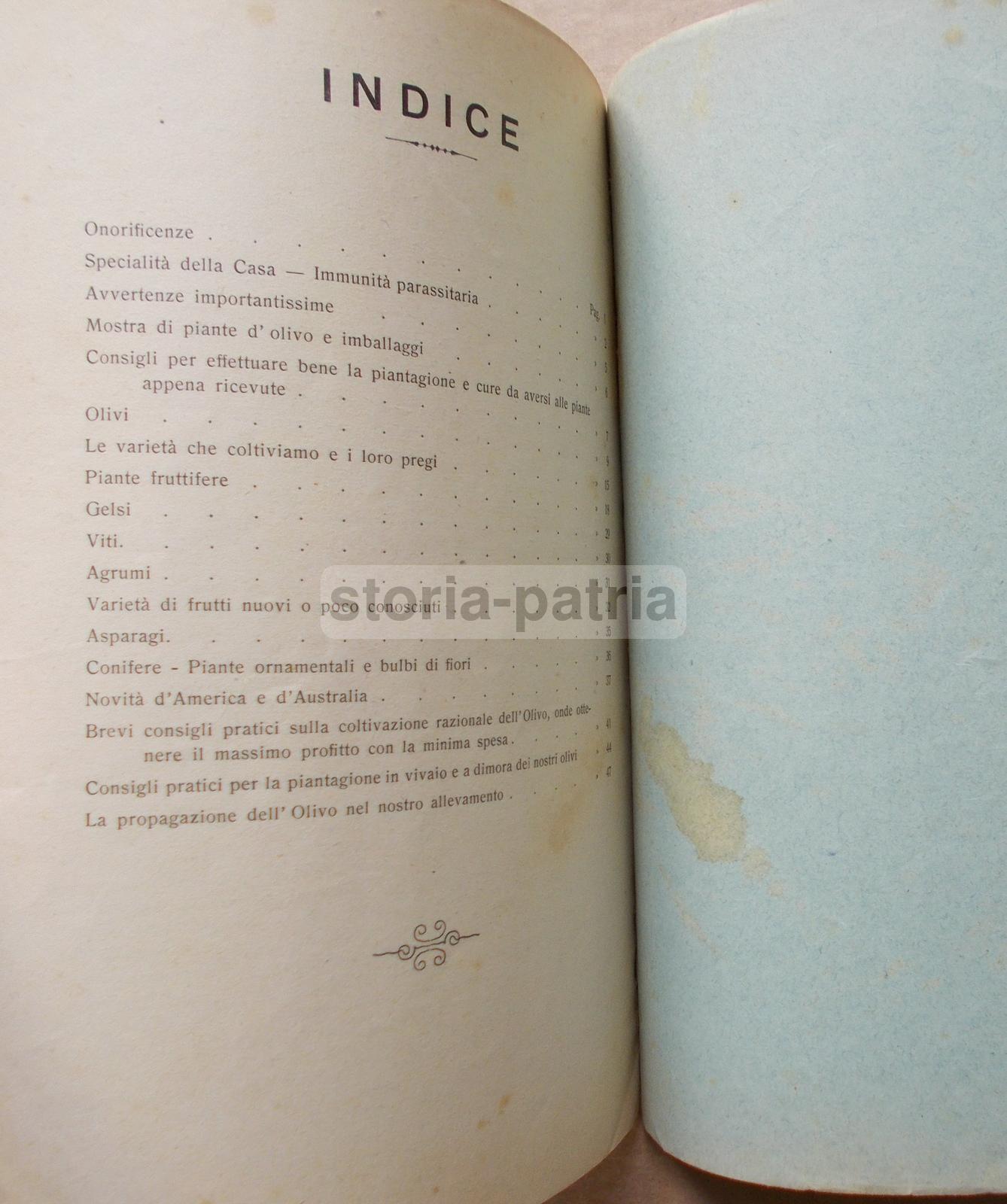 Pescia, Agraria, Orto, Piante, Frutta, Olivi, Asparagi, Legumi, Pubblicitaria Duliva immagine 1