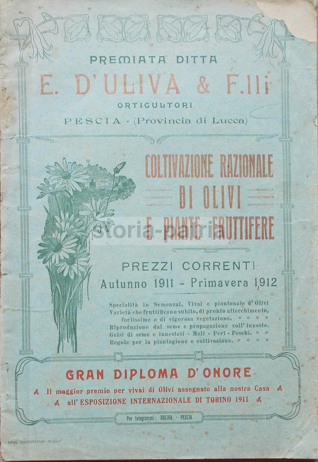 Pescia, Agraria, Orto, Piante, Frutta, Olivi, Asparagi, Legumi, Pubblicitaria Duliva immagine 4
