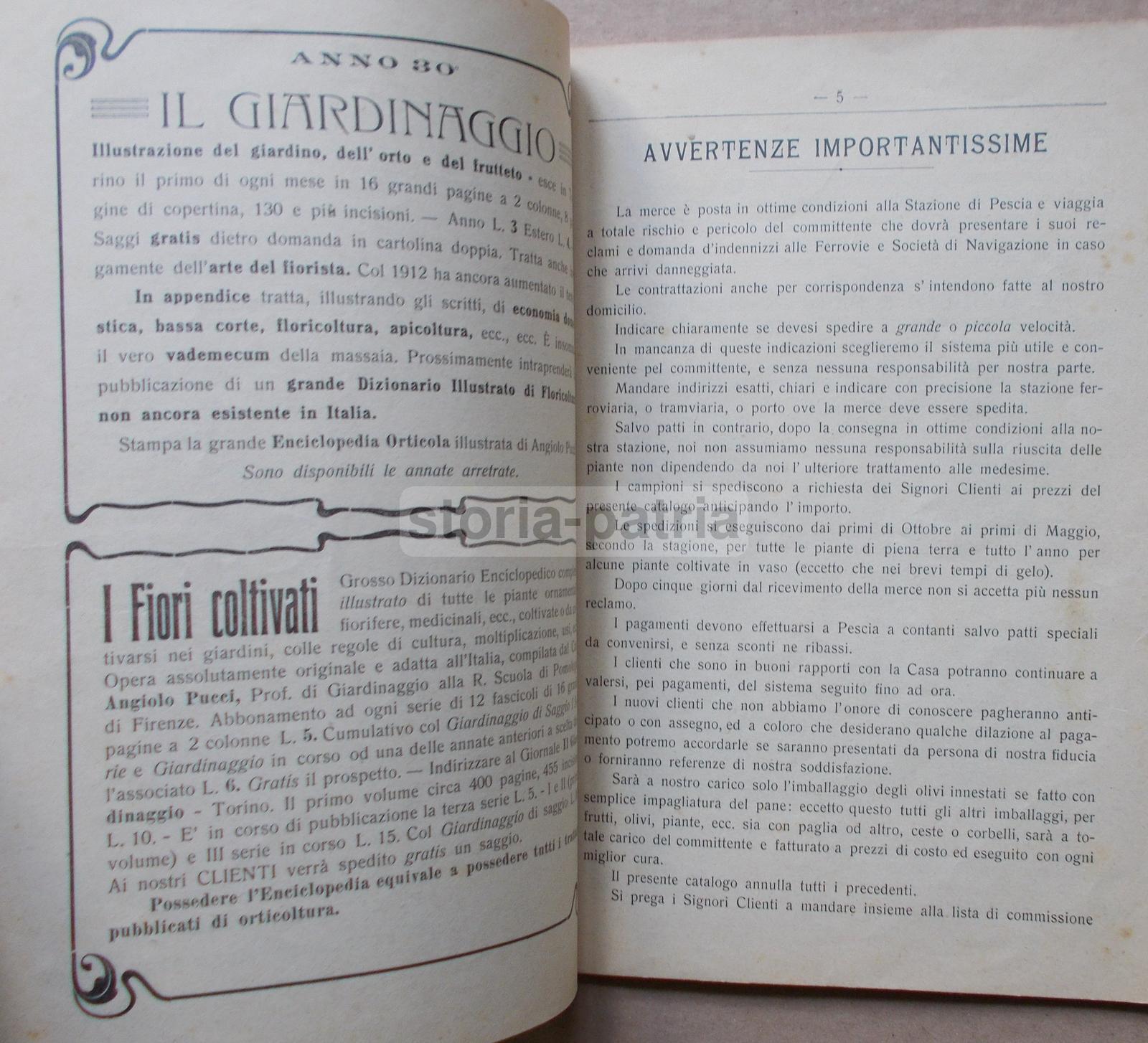 Pescia, Agraria, Orto, Piante, Frutta, Olivi, Asparagi, Legumi, Pubblicitaria Duliva immagine 11