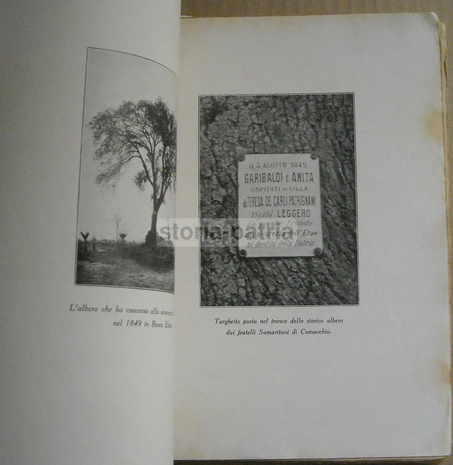 Risorgimento, Garibaldi, Anita, Leggero, Forli, Maremma, Interessante Illustrato, 32 immagine 14
