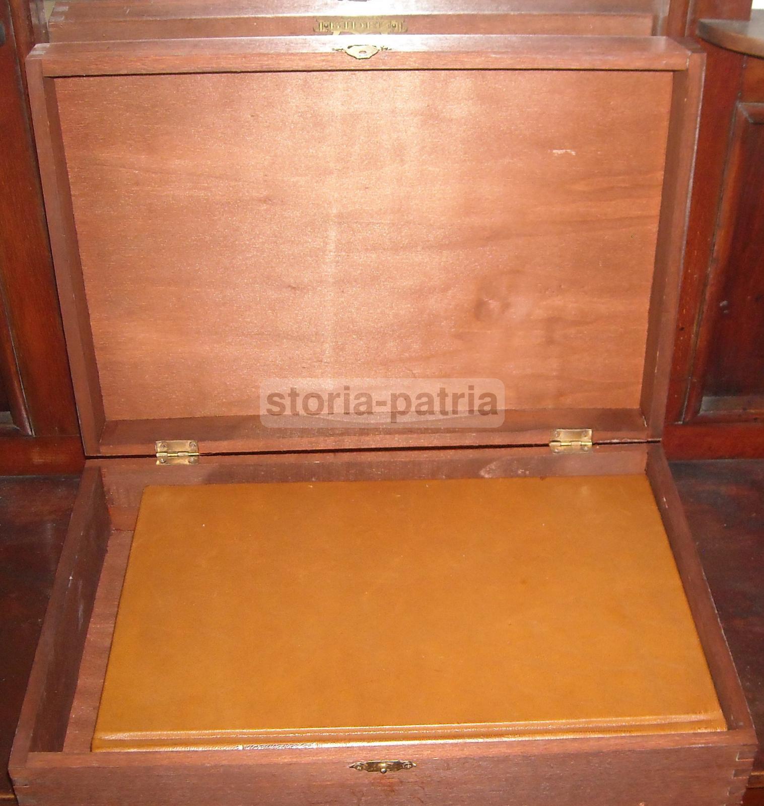 Storia Naturale, Botanica, Erbe Medicinali, Piante E Fiori, Erboristeria, Anastatica immagine 5