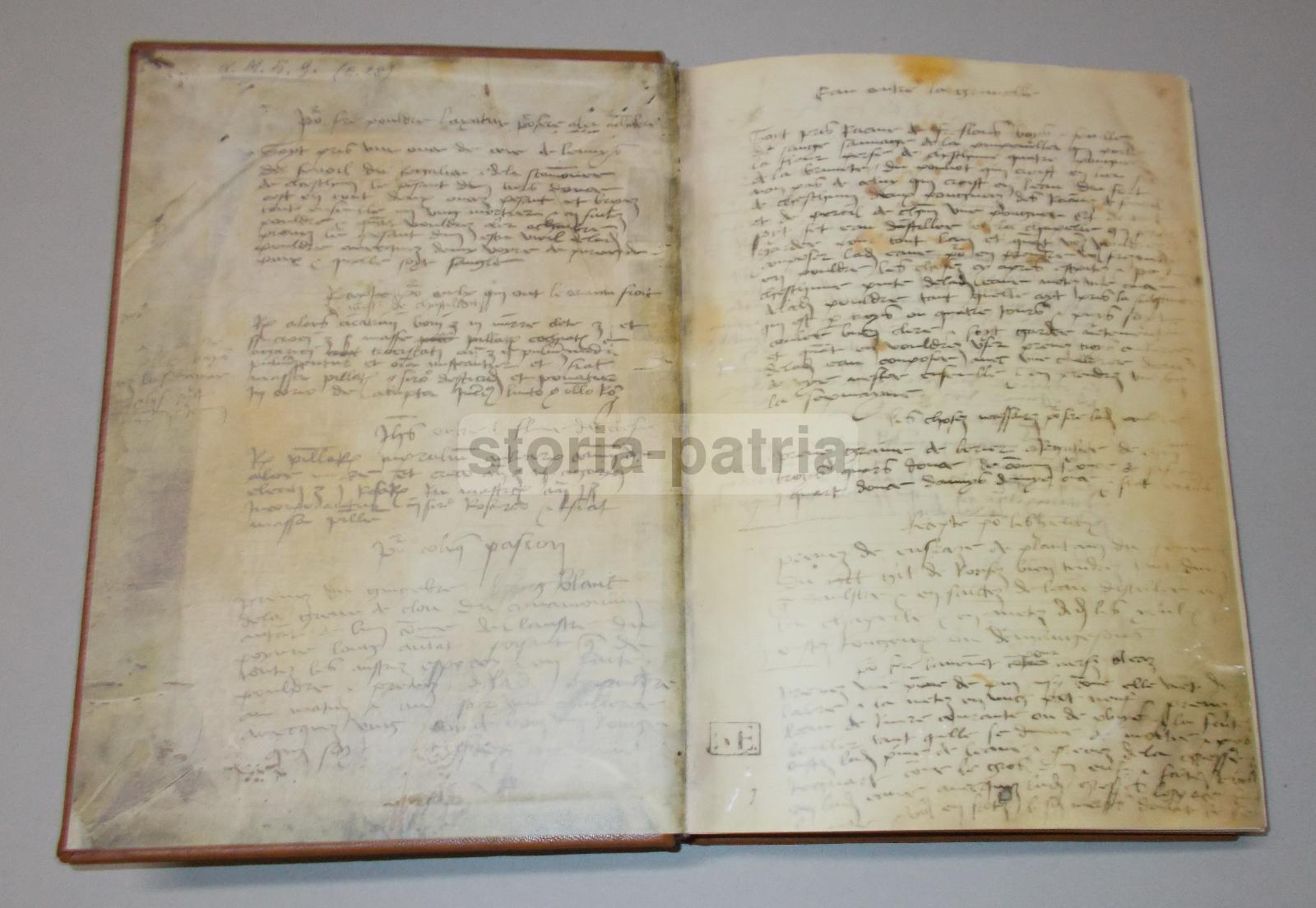 Storia Naturale, Botanica, Erbe Medicinali, Piante E Fiori, Erboristeria, Anastatica immagine 6