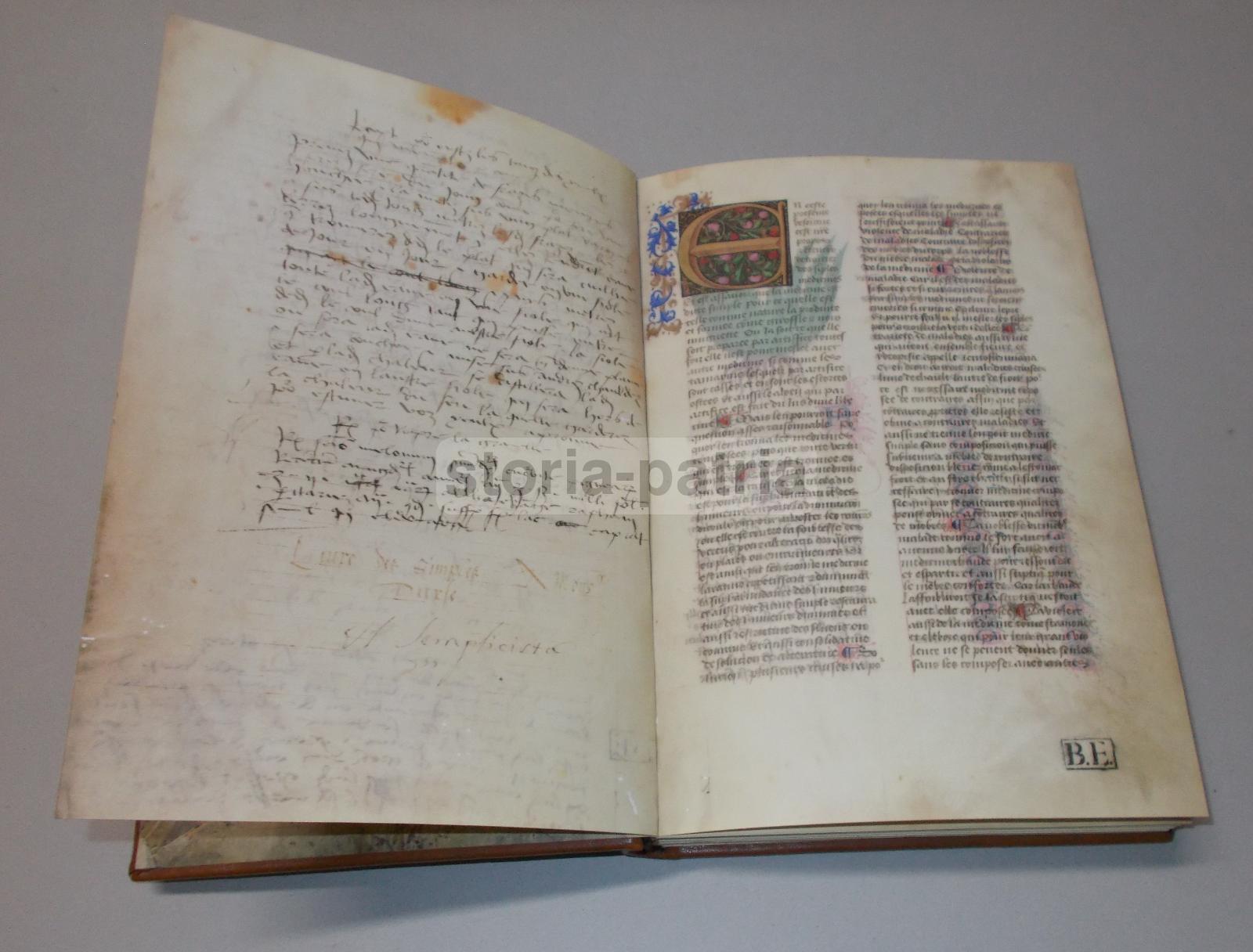 Storia Naturale, Botanica, Erbe Medicinali, Piante E Fiori, Erboristeria, Anastatica immagine 7