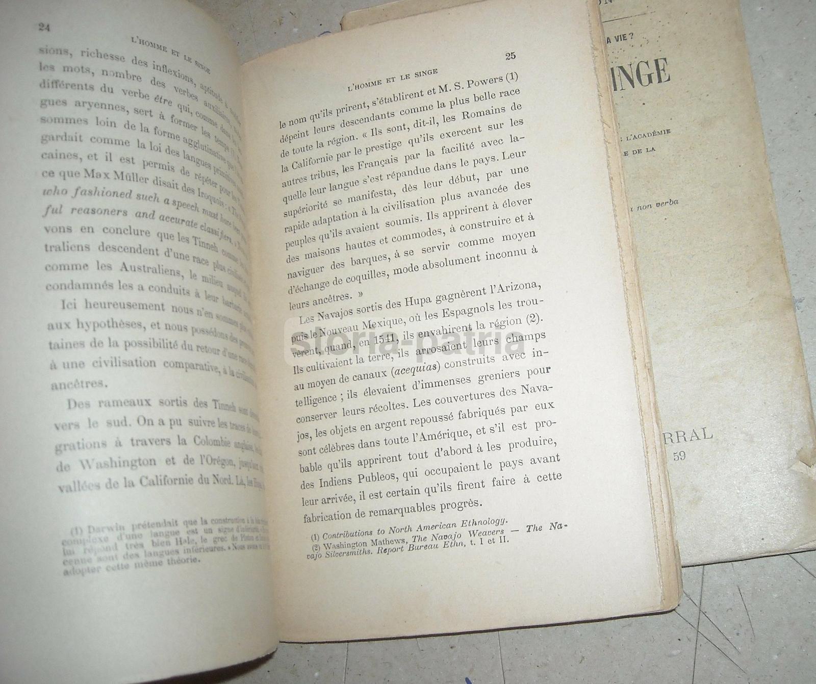 Storia Naturale, Zoologia, Antropologia, Uomo, Scimmia, Evoluzione, Nadaillac, Geologia immagine 3