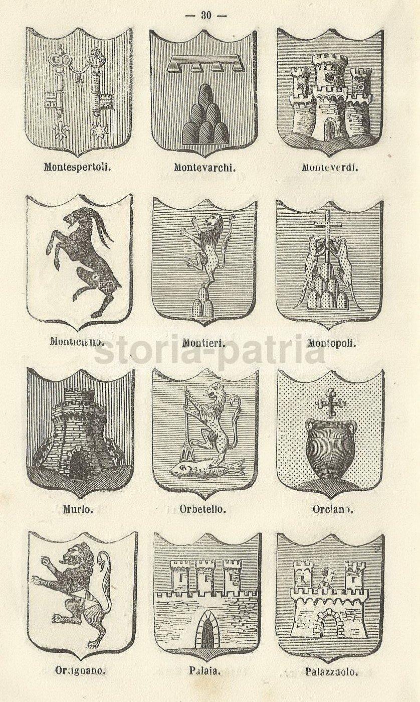 Toscana, Araldica, Stemmi Araldici Municipali, Allegorie, Bibbiena, Orbetello, Asciano immagine 4