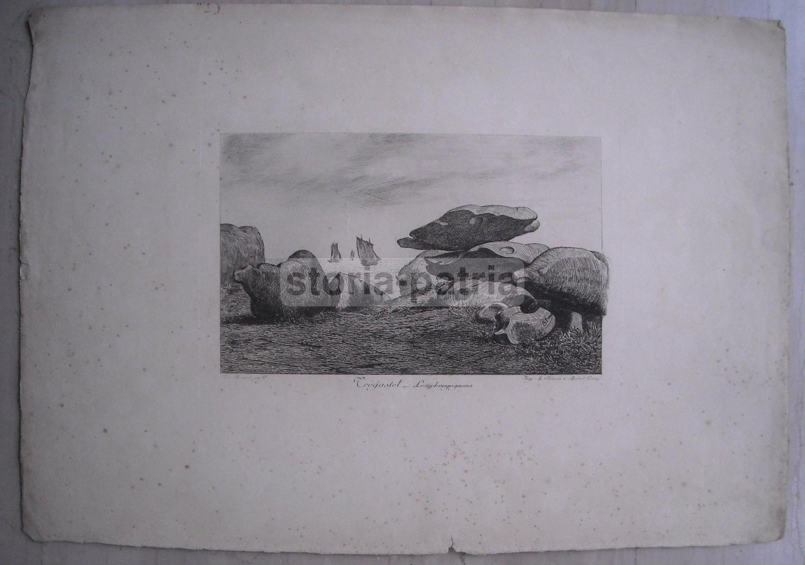 Tregastel, Champignons, Antica Suggestiva Incisione, Artista Busnel, Salmon Ardail immagine 3