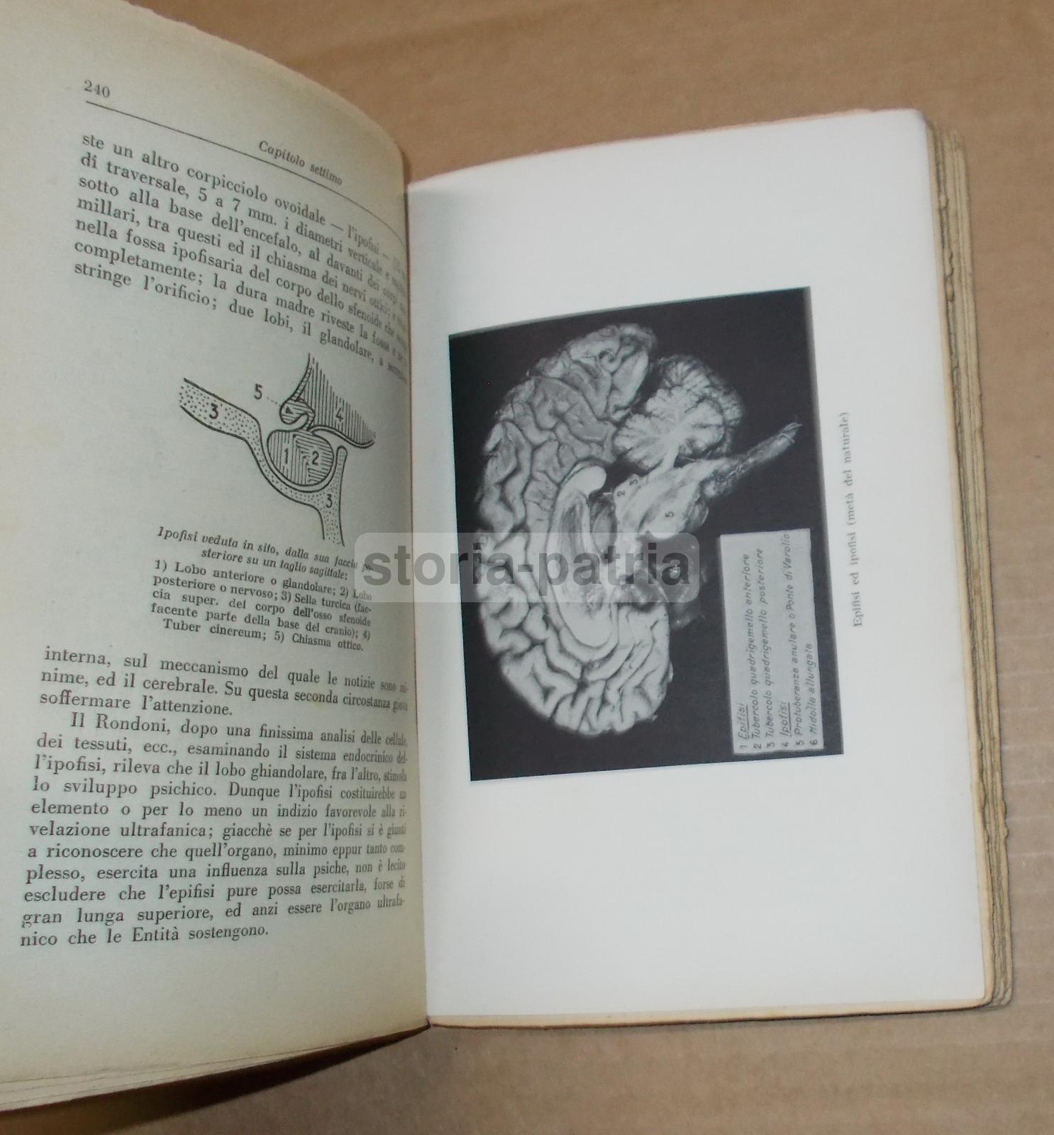 Ultrafania, Biosofia, Schizzi Medianici, Spiritismo Moderno, Trespioli, Kardek, Myers immagine 5